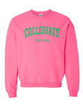 Watermelon Wednesday Crewneck